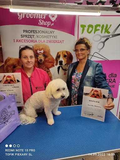 Tofik Psi Fryzjer